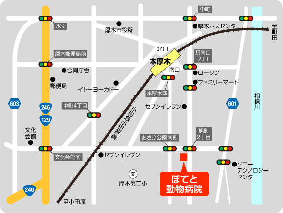 ぽてと動物病院地図