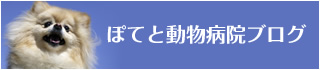 ぽてと動物病院ブログ